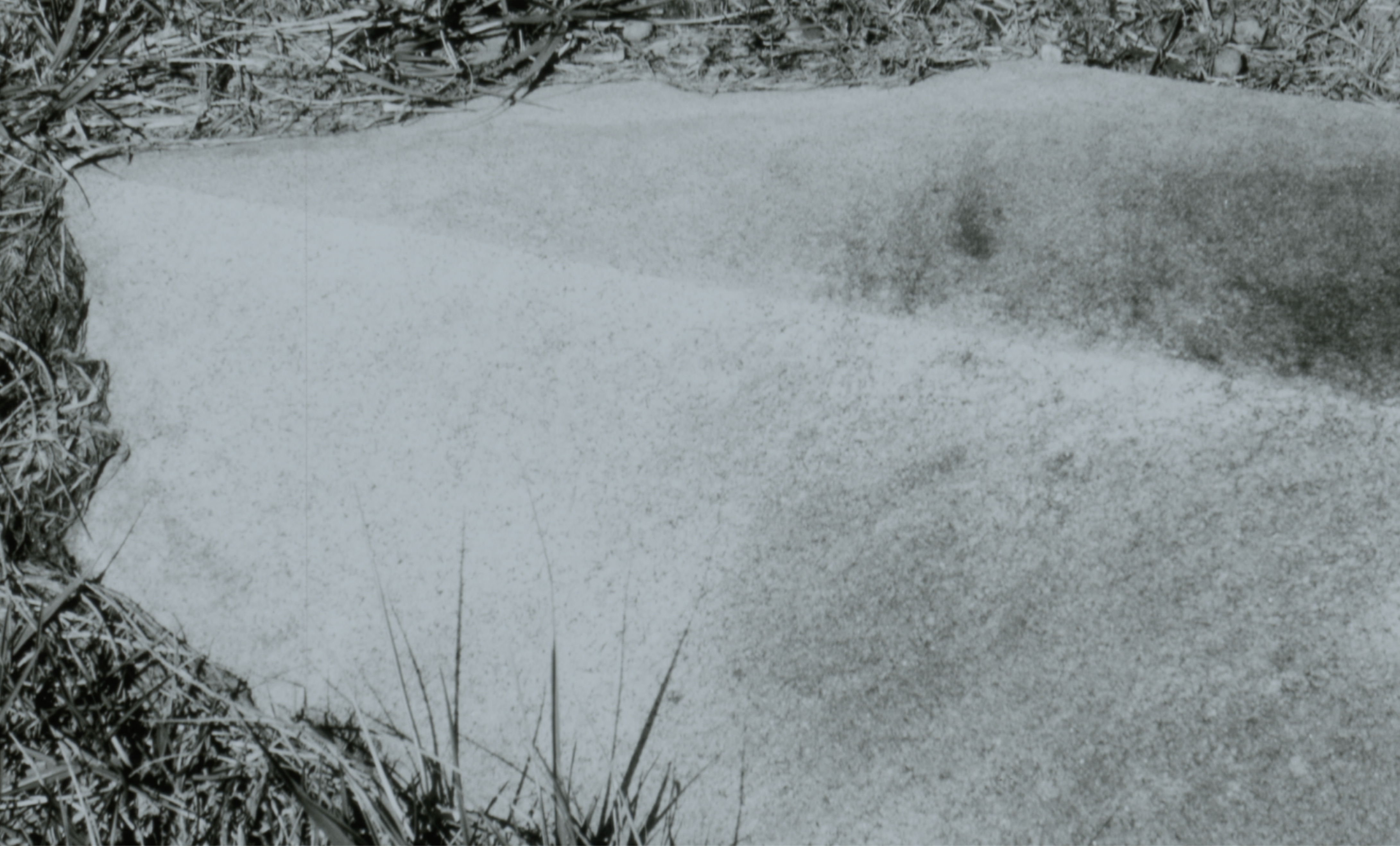 Soil Story - Screenshot 1