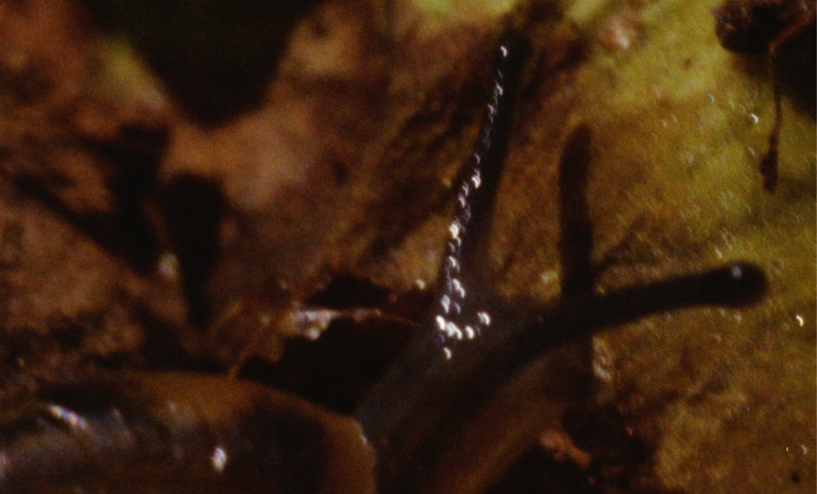Soil Story - Screenshot 1