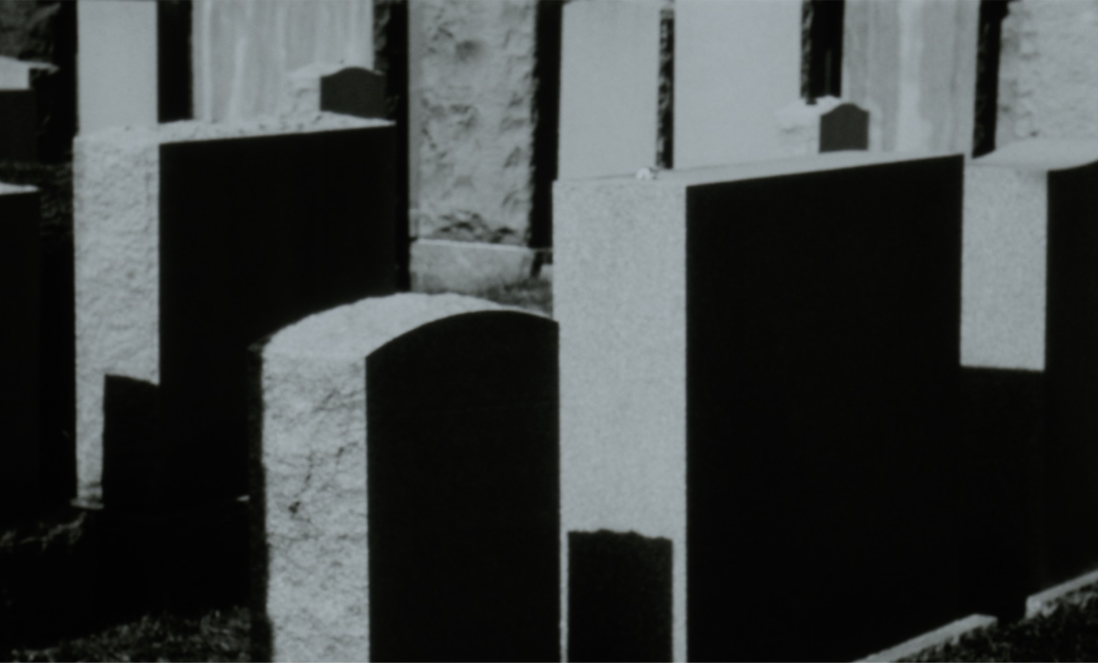 Soil Story - Screenshot 1